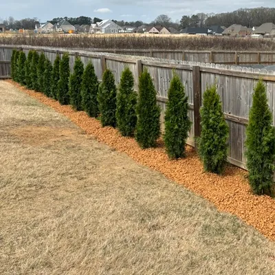 Shine bright landscape & home improvements