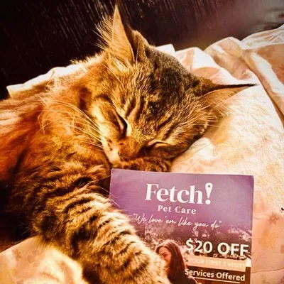 Fetch Pet Care of East Hollywood