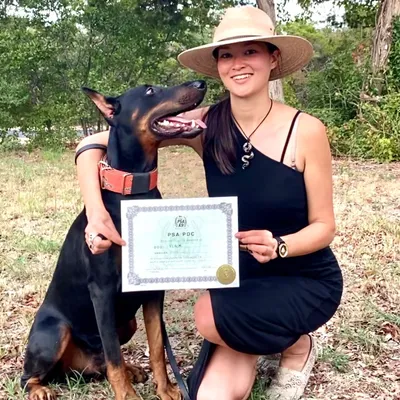 Traction K9 Kennels