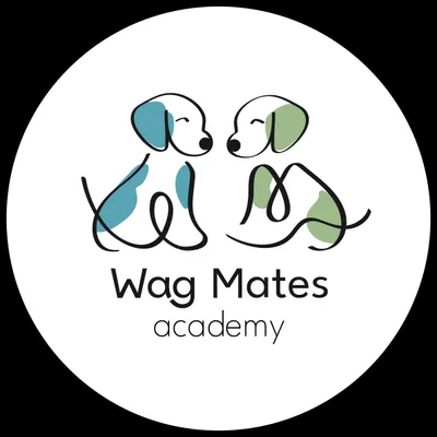 Wag Mates Academy, NY/NJ/CT