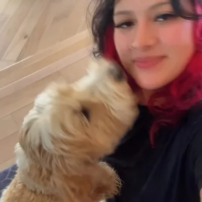Leila’s Pet Sitting CarePlus+