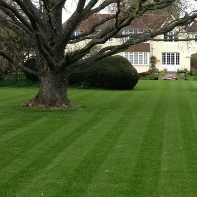 Brimstone Landscaping