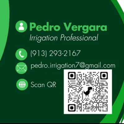 Pedro Vergara