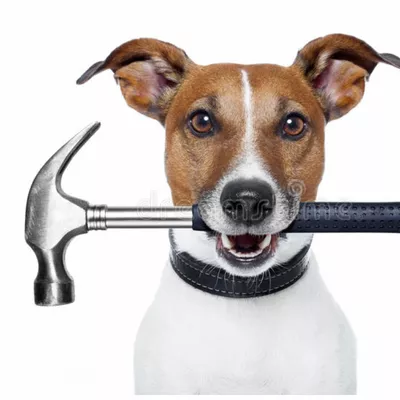 STO Properties & Pro Handymen