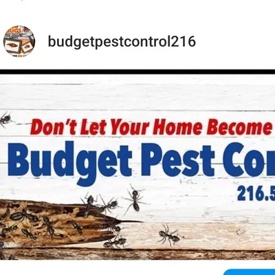 Budget Pest Control