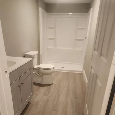 Larios Painting and plumbing LLC