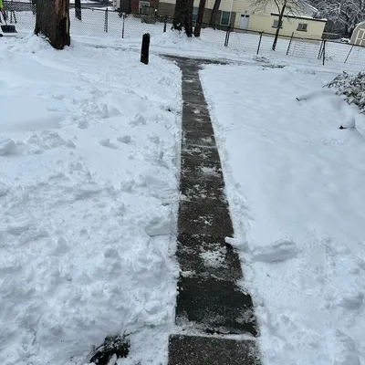 Wenner’s snow removal/carpet cleaning