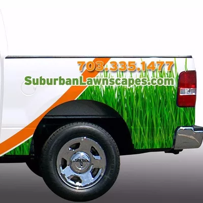 Suburban Lawnscapes