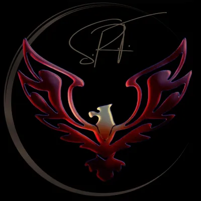SRT Investigations LLC