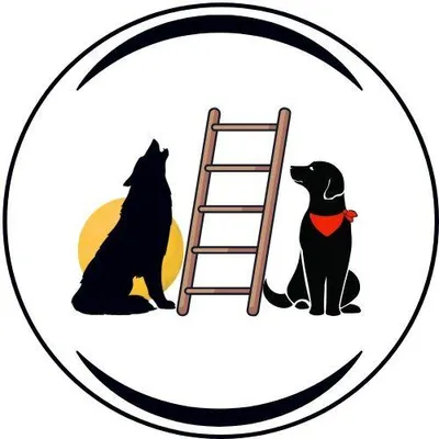 Den to Disciplined Dog Training Orlando-Central-FL