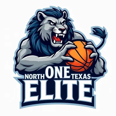 North Texas One Elite Basketball Academy ?