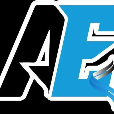 AE Protective Services LLC