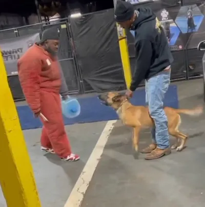 Beta to Alpha K9 Training LLC