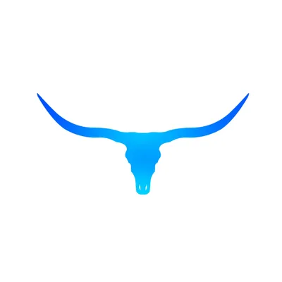 Bullhorn Construction