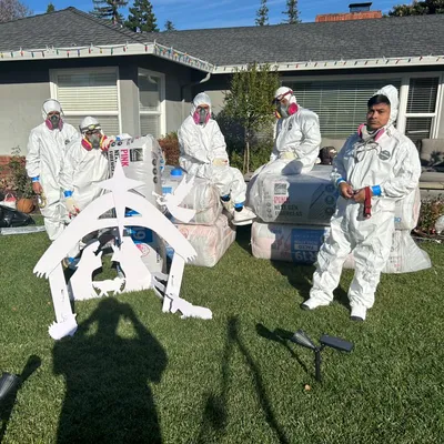 AttiCal Insulation and Rodents