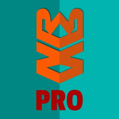 New Roads Pro