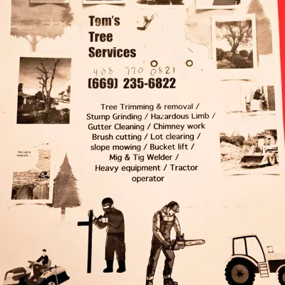 Toms Tree Service & Stump Grinding