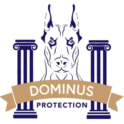 Dominus Protection LLC