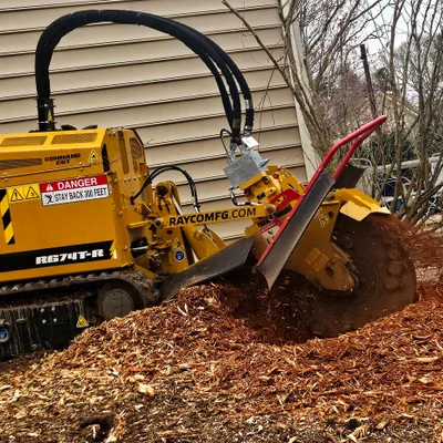 Hernandez Stump Grinding