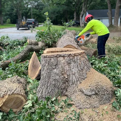 O.G. TREE SERVICE