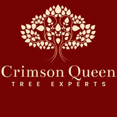 Crimson Queen Tree Experts