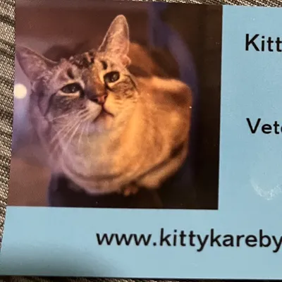 Kitty Kare by Brooke