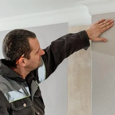 Da Vinci Wallpaper & Painting