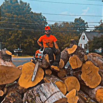 vecchiarelli’s tree service