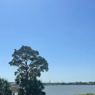 ArborSnap