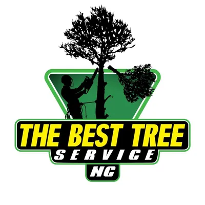 The Best tree NC