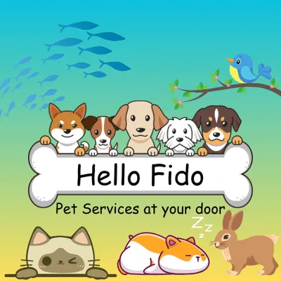 Hello Fido