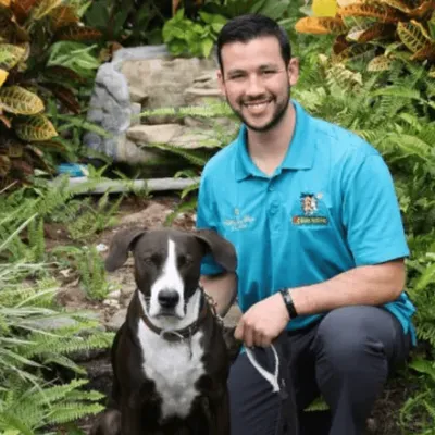 Bark Busters Santa Clara County West