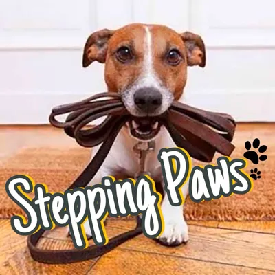 Stepping Paws
