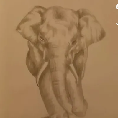 Gifted and talented artist