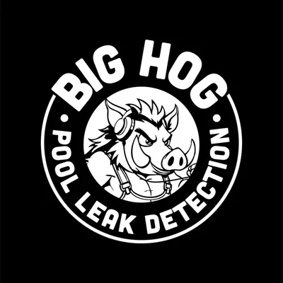 Big Hog pool leak detection and repairs