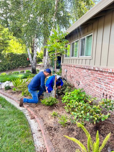 Gabriel’s landscaping