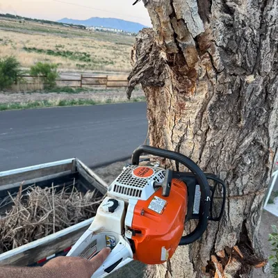 505tree services