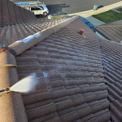 roof cleaning