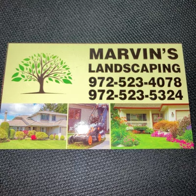 Marvin’s Landscape