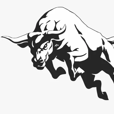 Toro Movers