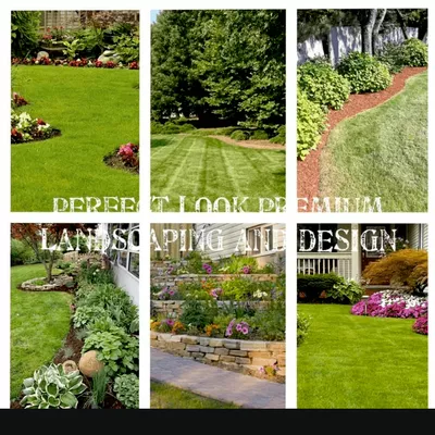 Perfect look Premium Landscaping