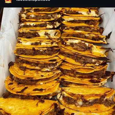 Tacos La Tapatia Ltd.
