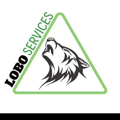 Lobo Services LLC