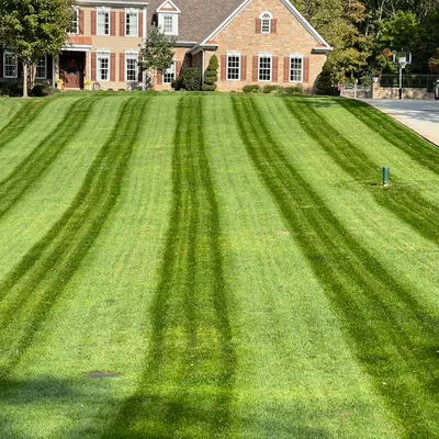 Grass Monkey & Trees Service