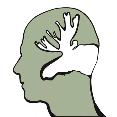 Moose Brain Designs
