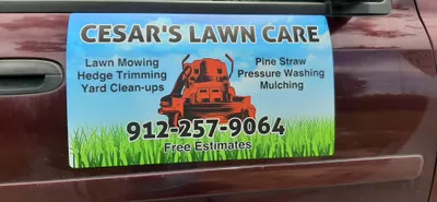 CESAR'S LAWN CARE