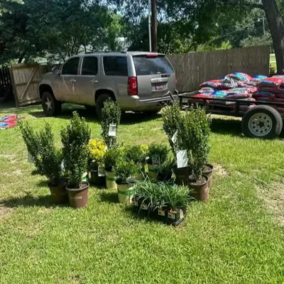 Newell Lawn Care