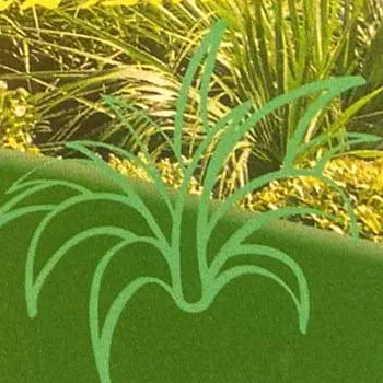 Lopez Lawn Care