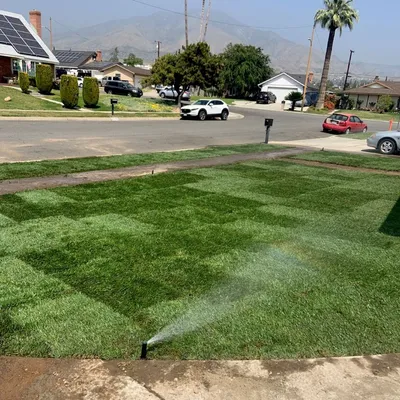 Mena full landscaping