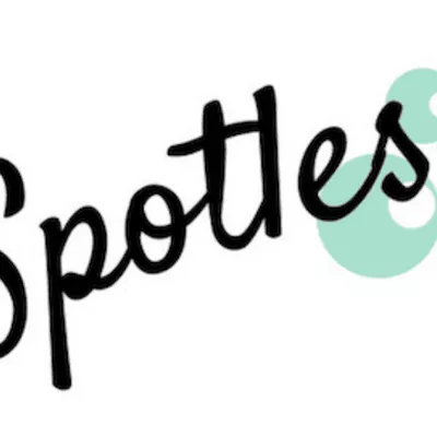 Spotless Cleaning